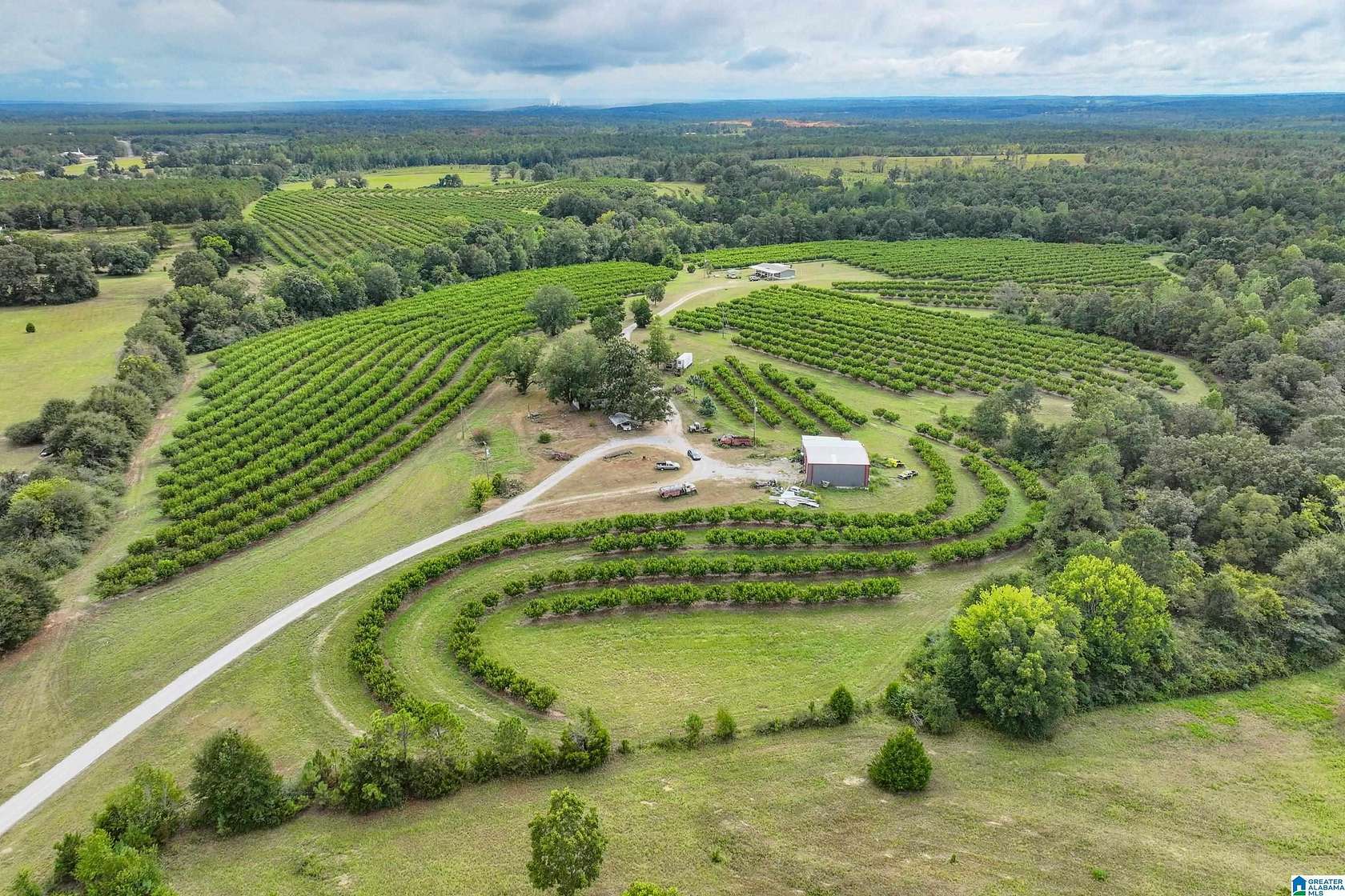 122 Acres of Agricultural Land with Home for Sale in Clanton, Alabama