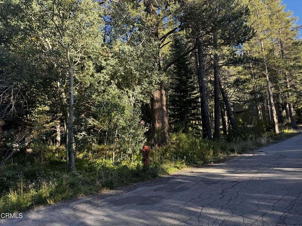 0.18 Acres of Land for Sale in June Lake, California