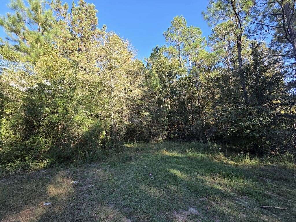 12.3 Acres of Land for Sale in Poplarville, Mississippi