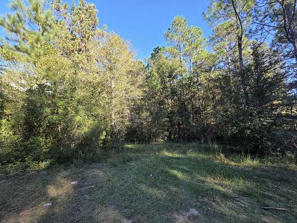 12.3 Acres of Land for Sale in Poplarville, Mississippi