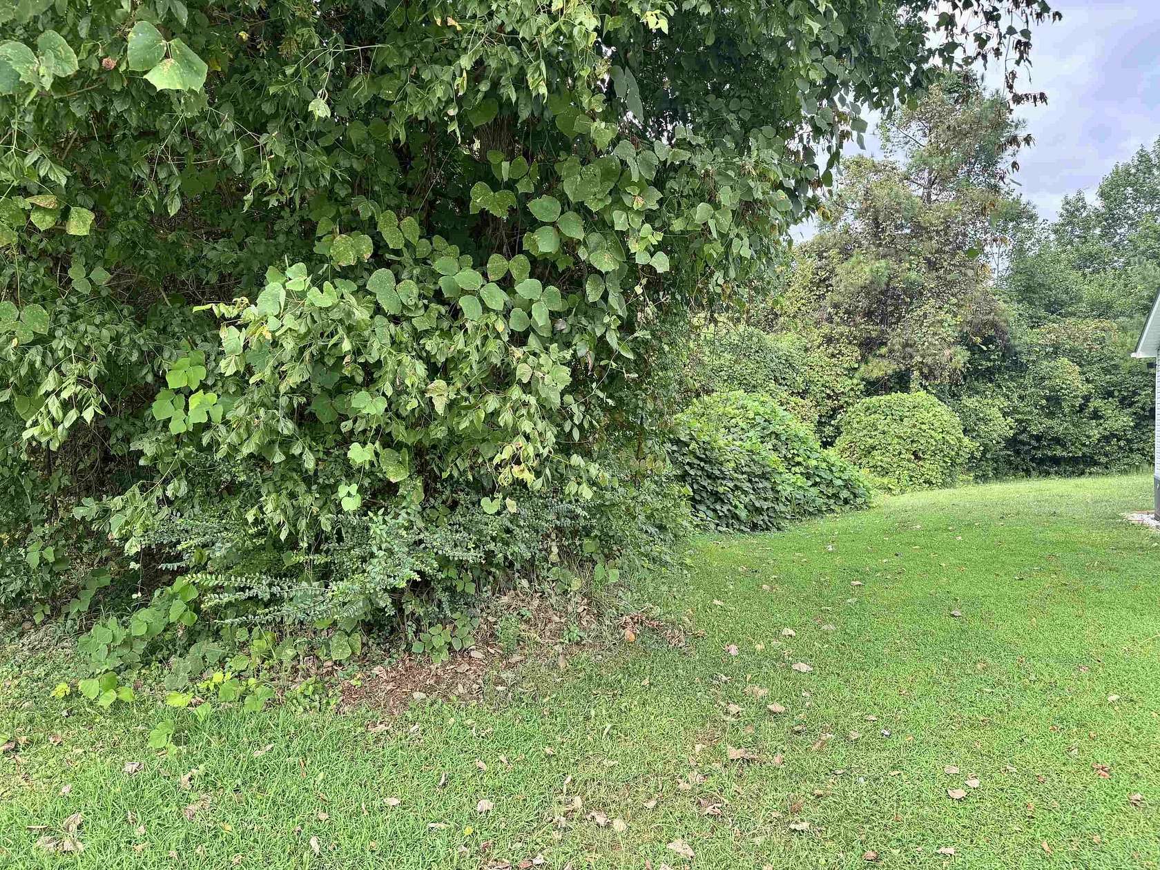 0.53 Acres of Land for Sale in Spartanburg, South Carolina