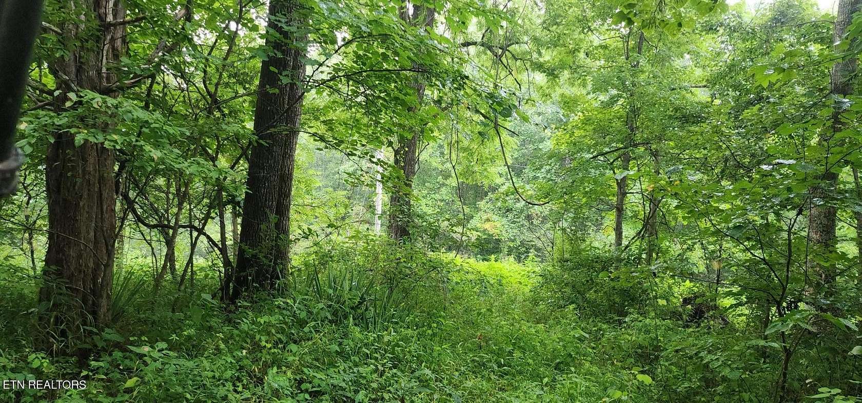 46.5 Acres of Land for Sale in Pioneer, Tennessee