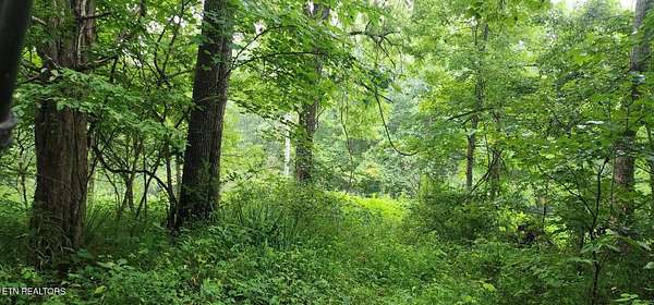 46.5 Acres of Land for Sale in Pioneer, Tennessee