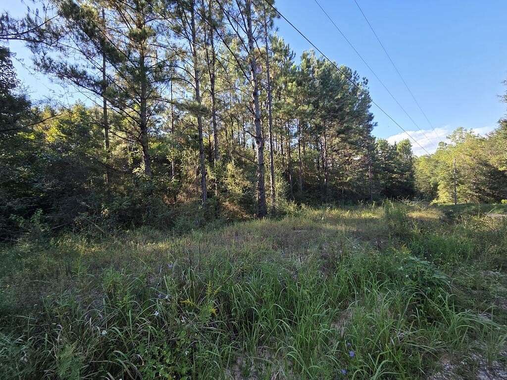 6.16 Acres of Land for Sale in Poplarville, Mississippi