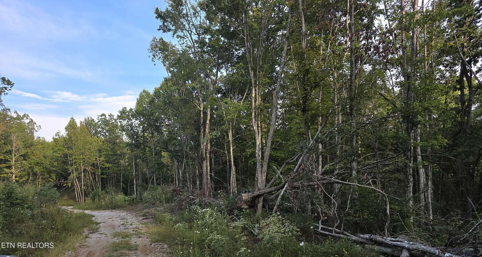 11.2 Acres of Land for Sale in Sunbright, Tennessee