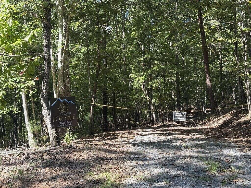 16.7 Acres of Land for Sale in Ellijay, Georgia