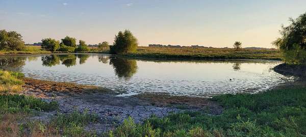 154 Acres of Land for Sale in Italy, Texas