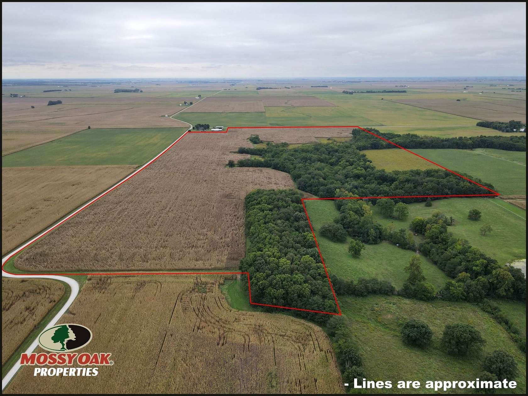 125 Acres of Recreational Land for Lease in Sidell, Illinois