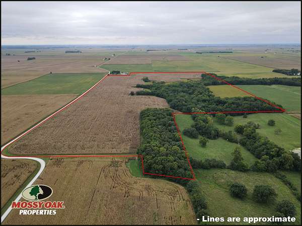 125 Acres of Recreational Land for Lease in Sidell, Illinois