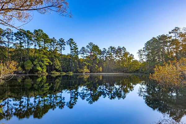 20 Acres of Land for Sale in Chester, South Carolina