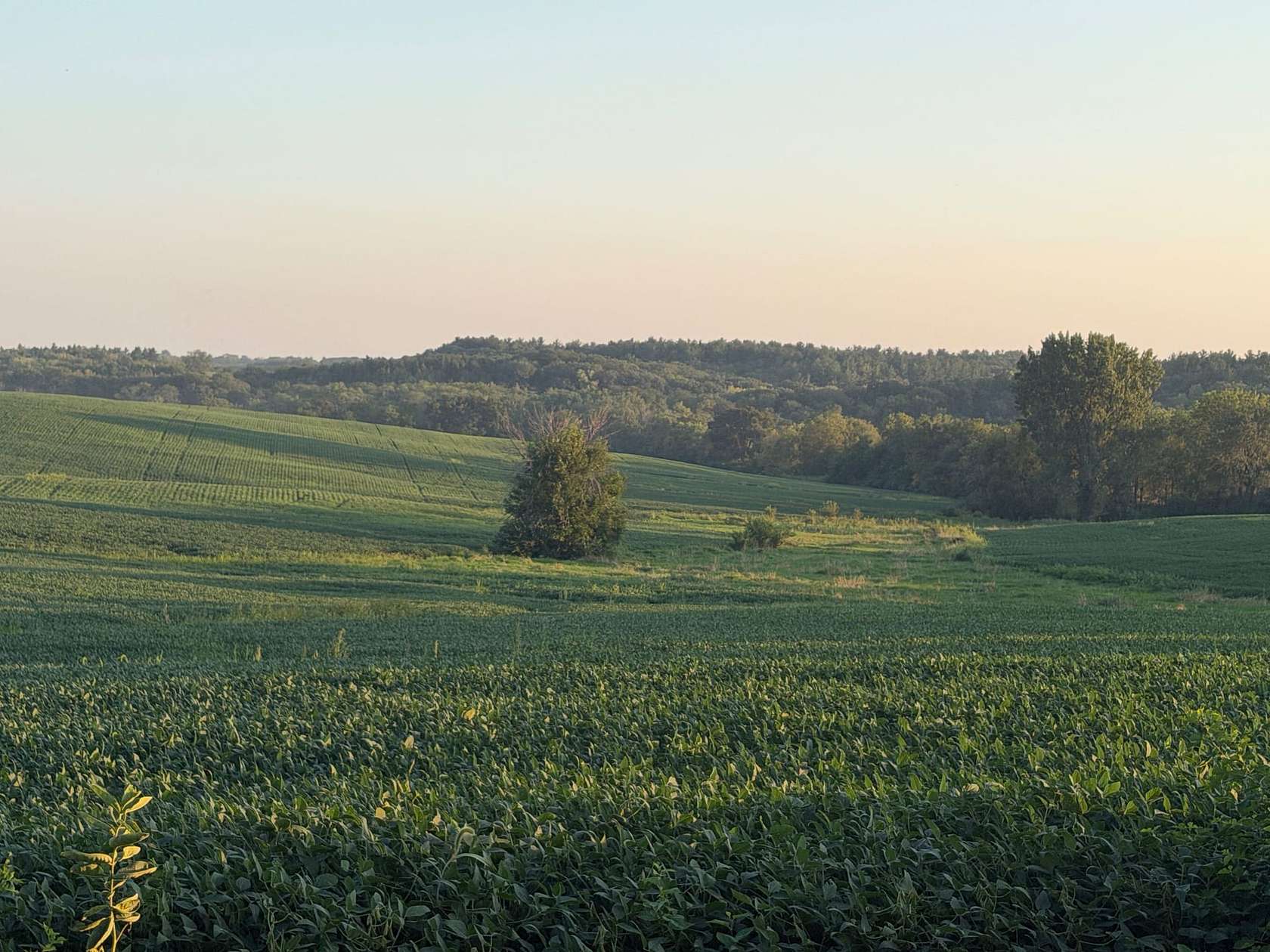 91 Acres of Land for Sale in Fairfield, Iowa