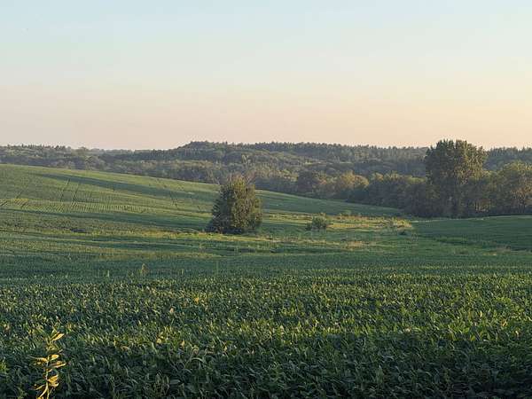 91 Acres of Land for Sale in Fairfield, Iowa