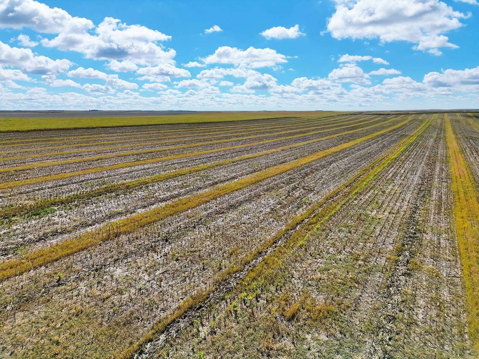 160 Acres of Land for Sale in Lodgepole, Nebraska