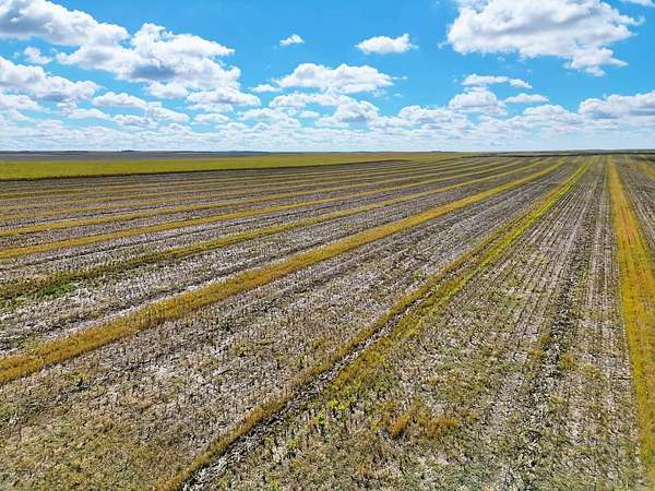 160 Acres of Land for Sale in Lodgepole, Nebraska