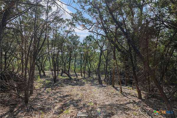 32.3 Acres of Land for Sale in Wimberley, Texas