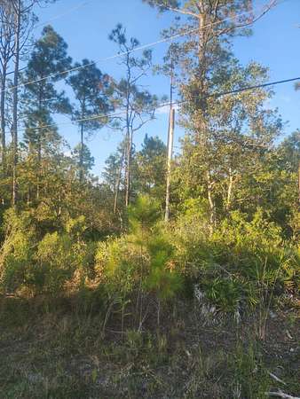 2.69 Acres of Residential Land for Sale in Ormond Beach, Florida