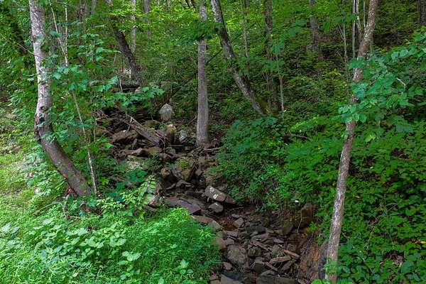 10 Acres of Residential Land for Sale in Pikeville, Tennessee