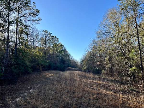 40 Acres of Recreational Land for Sale in Selma, Alabama