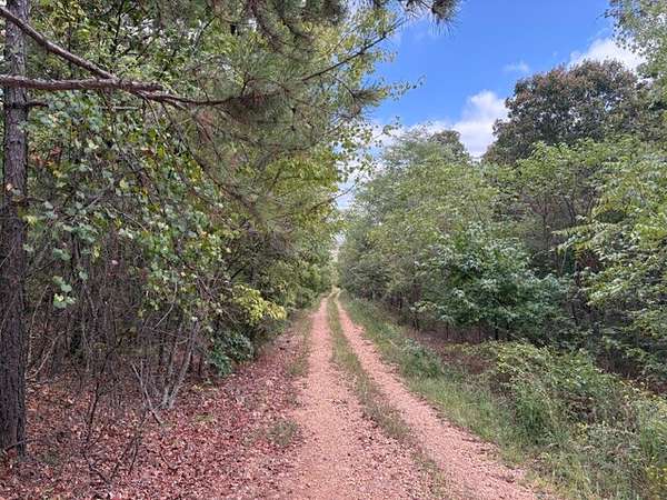 73.2 Acres of Recreational Land for Sale in Pleasant Grove, Arkansas