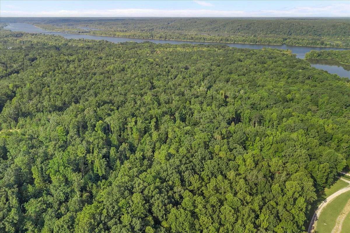 100 Acres of Recreational & Residential Land for Sale in Waverly, Tennessee