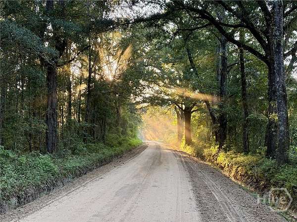 20 Acres of Land for Sale in Portal, Georgia