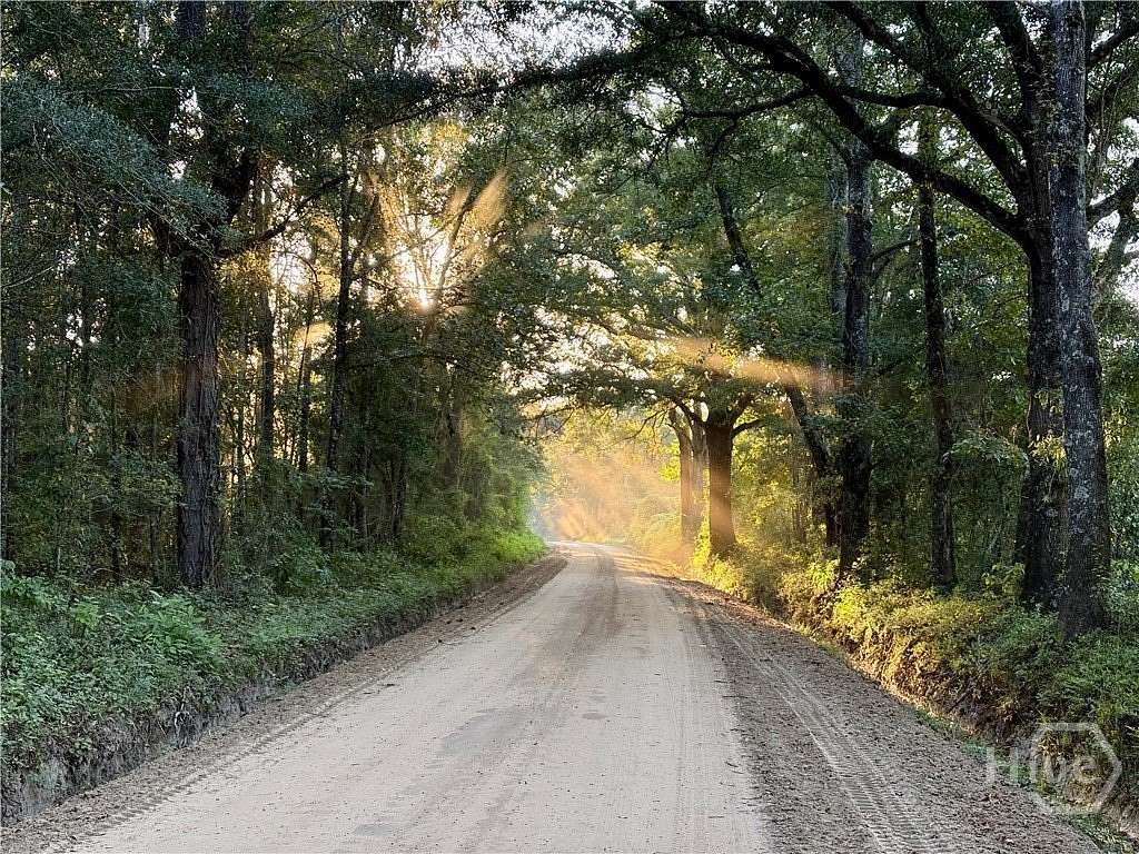 17 Acres of Land for Sale in Portal, Georgia