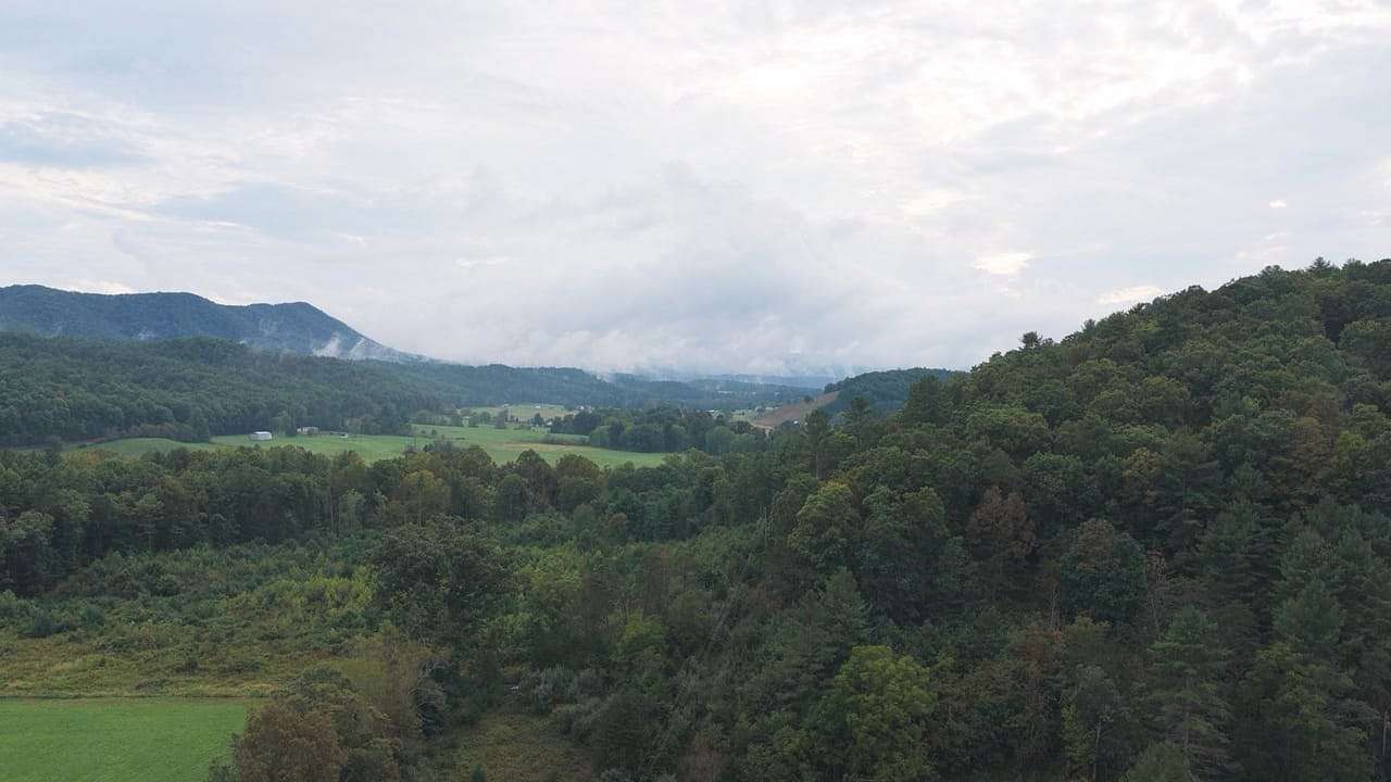 300 Acres of Land for Sale in Bland, Virginia
