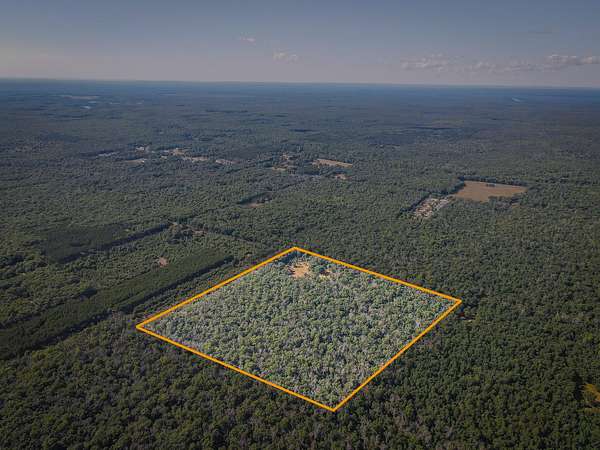 40 Acres of Recreational & Residential Land for Sale in Irons, Michigan