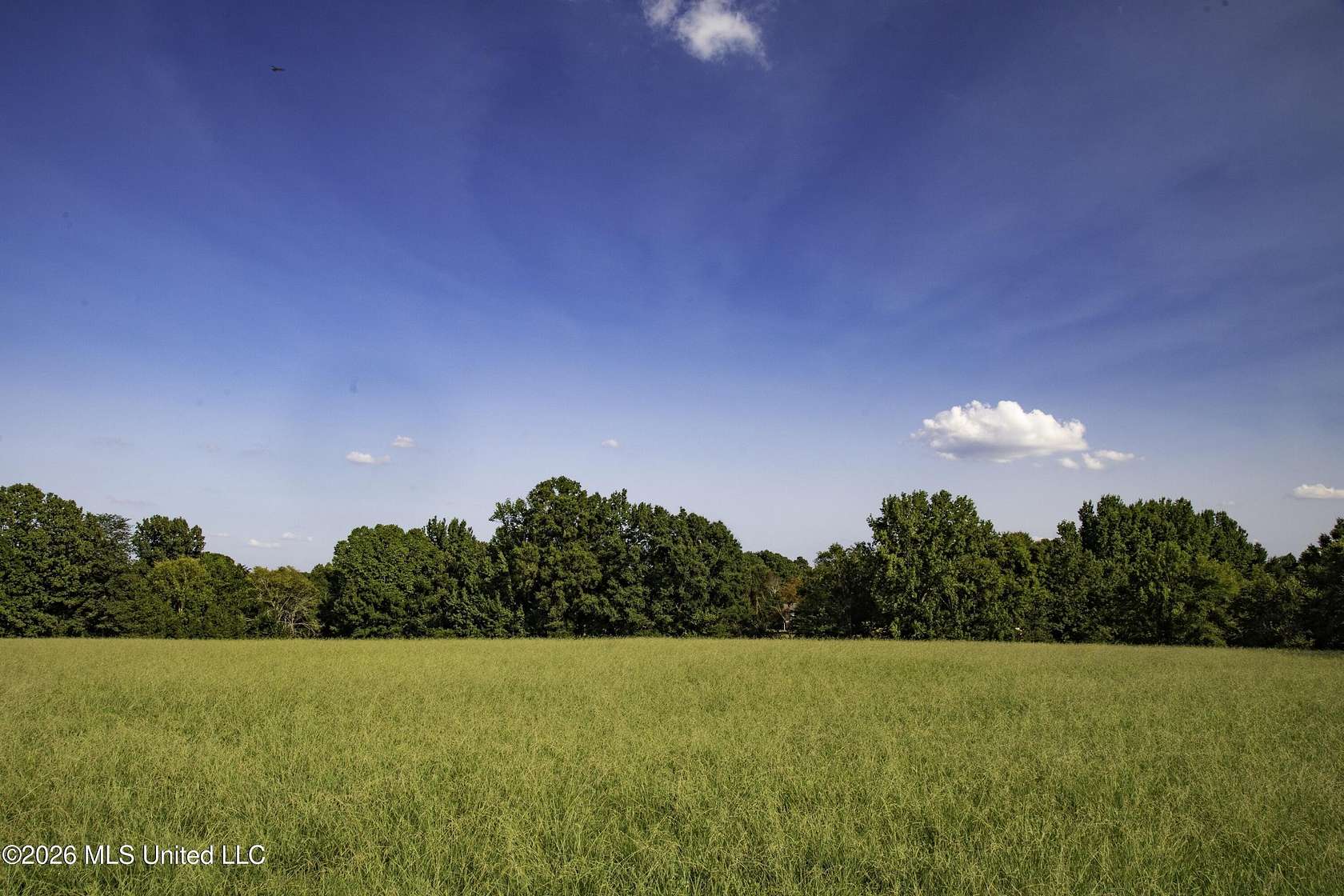 42.1 Acres of Land for Sale in Hernando, Mississippi