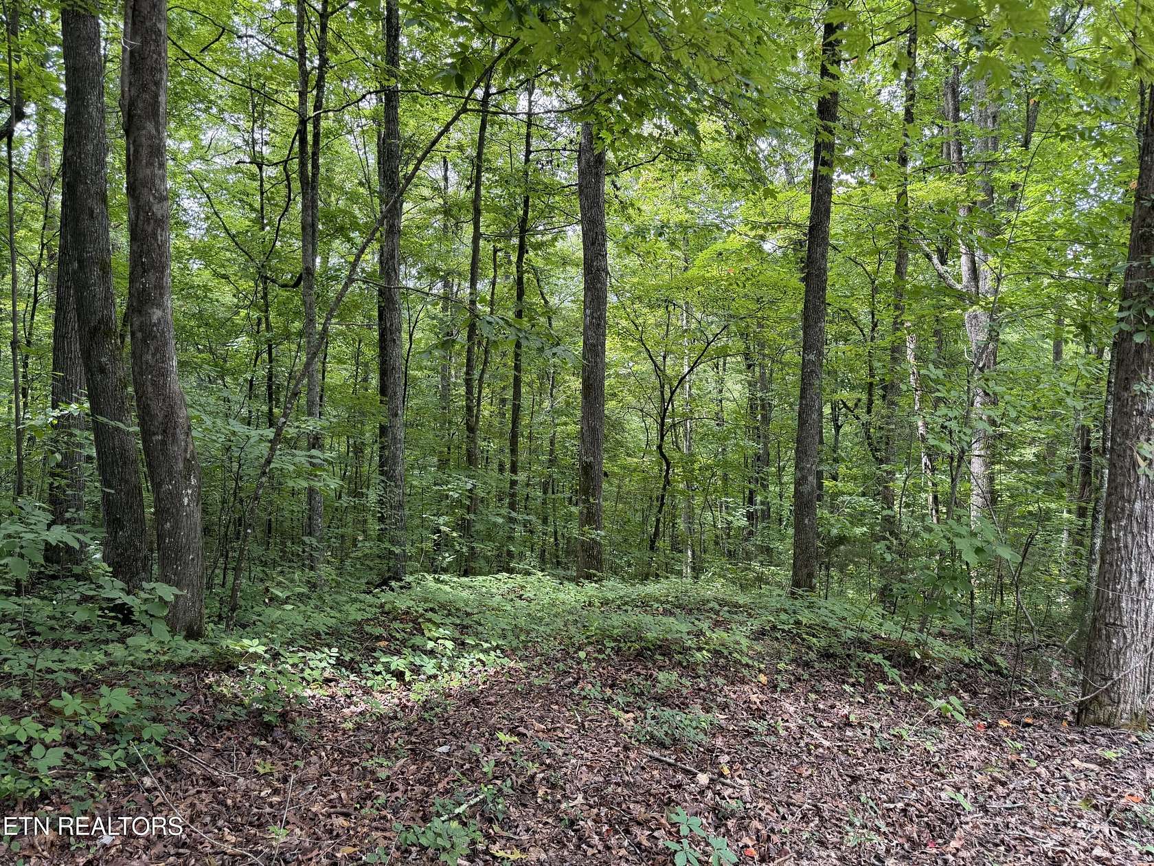 0.55 Acres of Residential Land for Sale in Sharps Chapel, Tennessee