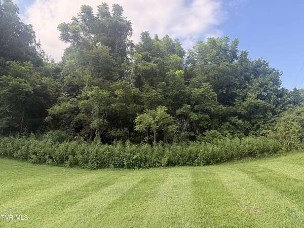 0.56 Acres of Residential Land for Sale in Unicoi, Tennessee