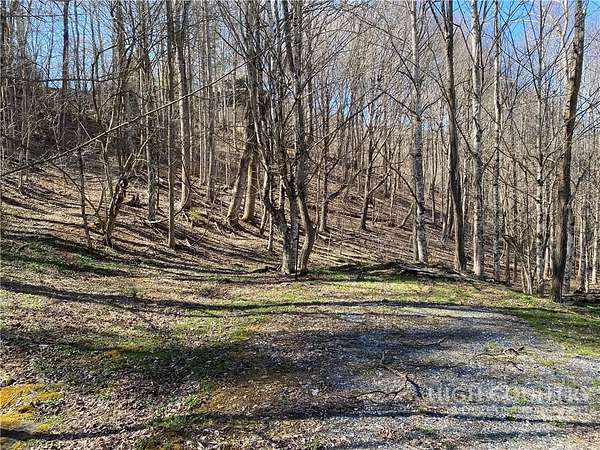 1 Acre of Residential Land for Sale in Banner Elk, North Carolina
