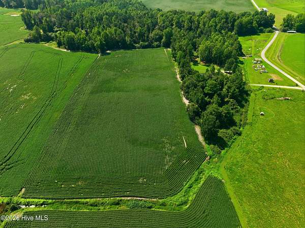 5.34 Acres of Land for Sale in Chinquapin, North Carolina