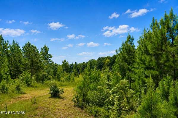 10.5 Acres of Recreational & Residential Land for Sale in Philadelphia, Tennessee