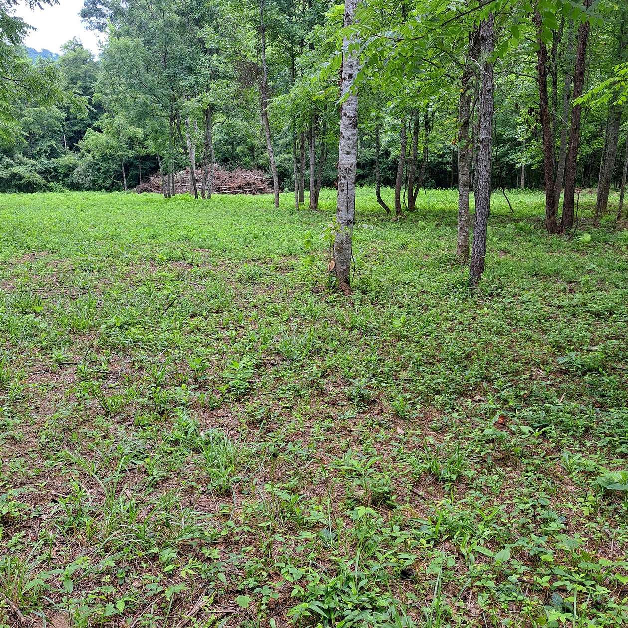 240 Acres of Recreational & Residential Land for Sale in Manchester, Kentucky