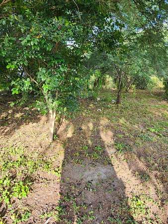 0.16 Acres of Residential Land for Sale in Mathis, Texas