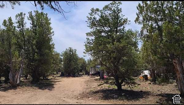 4 Acres of Residential Land for Sale in Fruitland, Utah