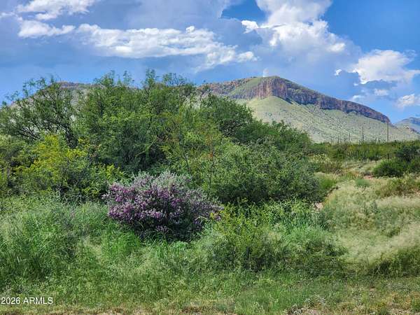 4.8 Acres of Land for Sale in Huachuca City, Arizona