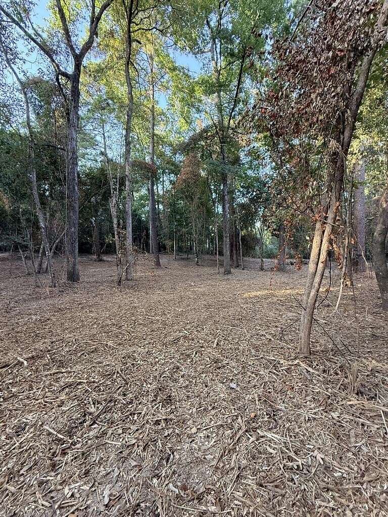 3.22 Acres of Residential Land for Sale in Jasper, Texas