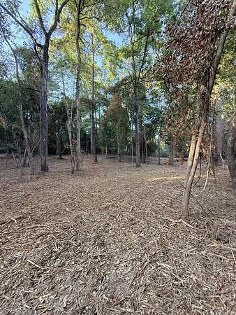 3.22 Acres of Residential Land for Sale in Jasper, Texas