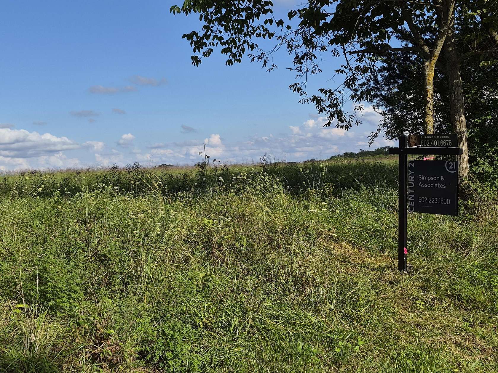 5 Acres of Residential Land for Sale in Pleasureville, Kentucky