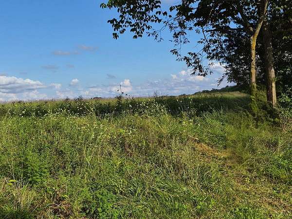 5 Acres of Residential Land for Sale in Pleasureville, Kentucky