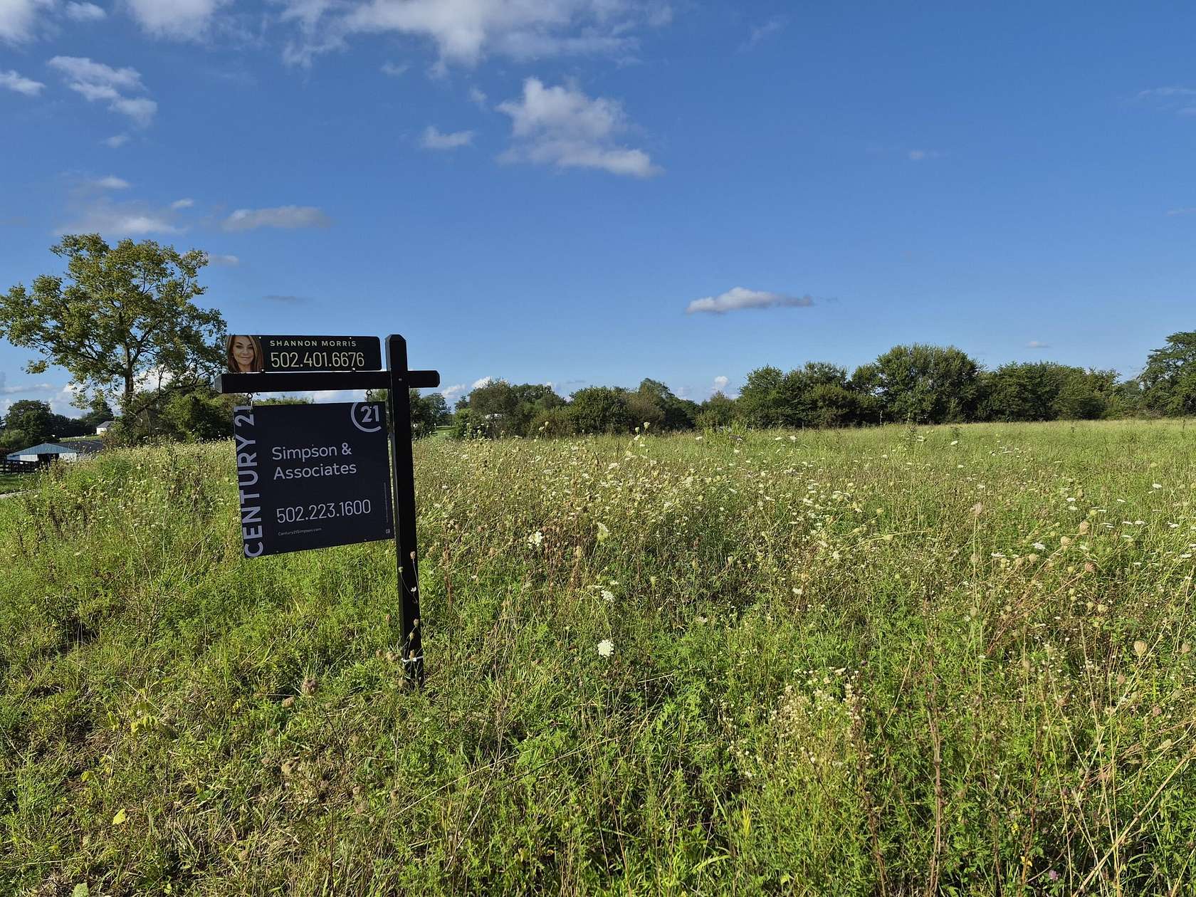 5 Acres of Residential Land for Sale in Pleasureville, Kentucky