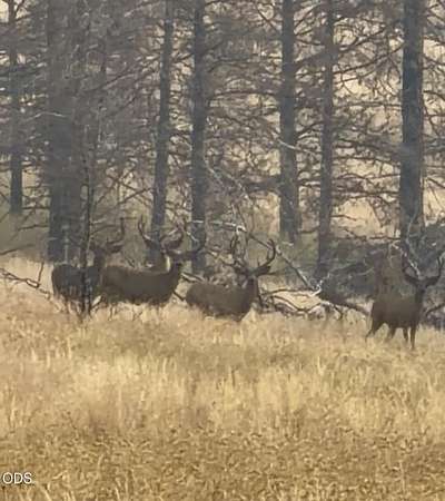 2,786 Acres of Land with Home for Sale in Dayville, Oregon