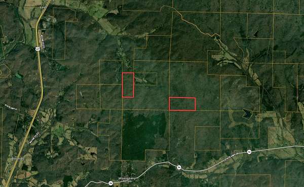 80 Acres of Land for Sale in Silva, Missouri