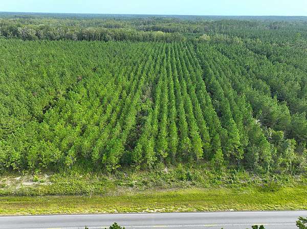 8.36 Acres of Recreational Land for Sale in White Oak, Georgia