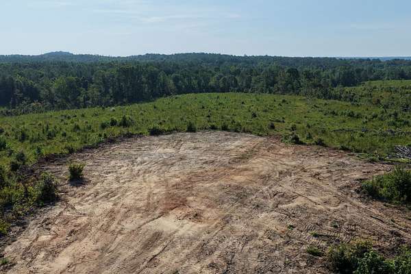 22 Acres of Land for Sale in Tishomingo, Mississippi