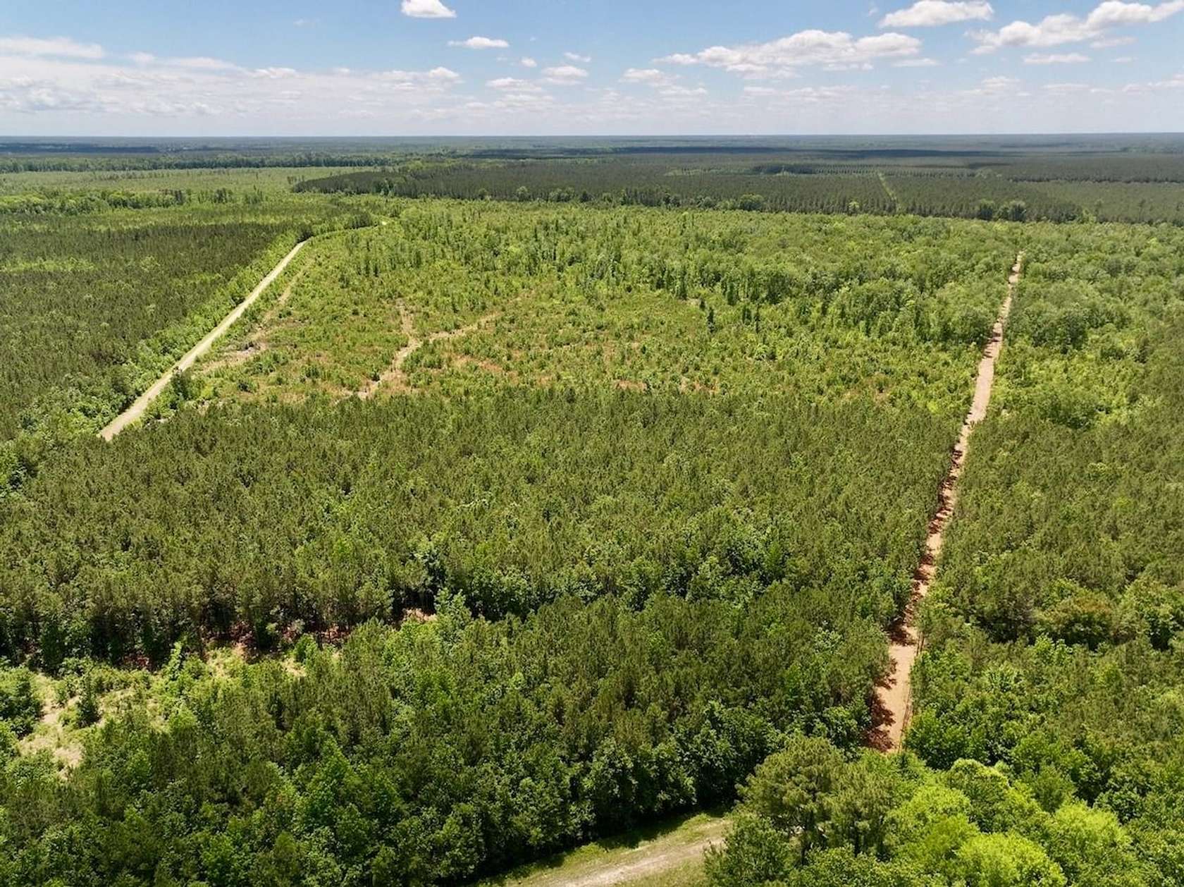 461 Acres of Recreational Land for Sale in Ernul, North Carolina