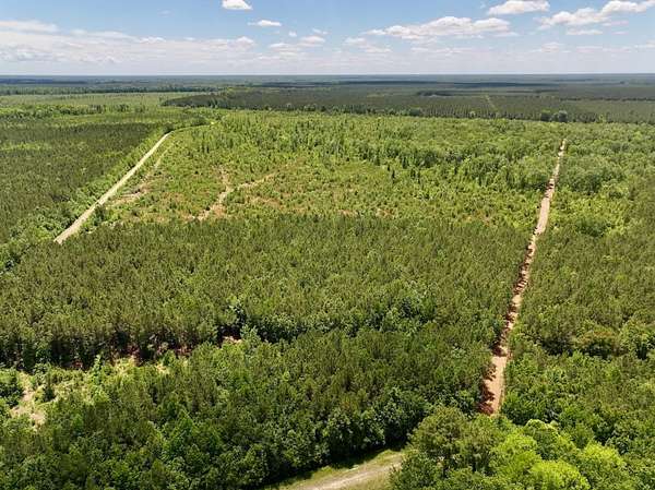 461 Acres of Recreational Land for Sale in Ernul, North Carolina
