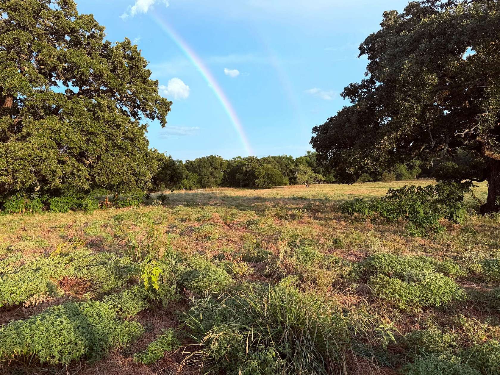 97 Acres of Land with Home for Sale in Royse City, Texas